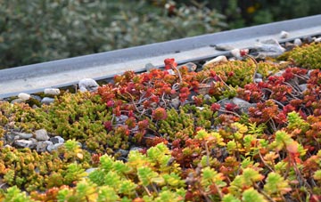 the cost of Chittering green roof installation