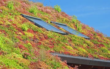 Chittering living roof systems